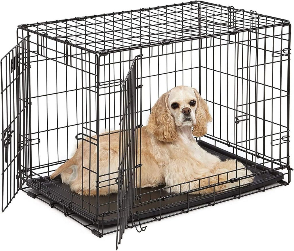 spaniel in dog crate
